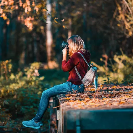 Moulin Royale Couette-café Saint-Etienne-Roilaye