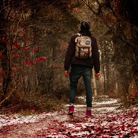 Moulin Royale Отель типа 