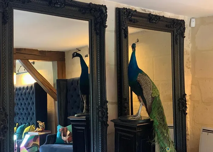 Moulin Royale 4* Saint-Etienne-Roilaye