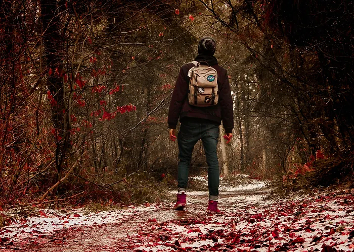 Moulin Royale Couette-café 4*